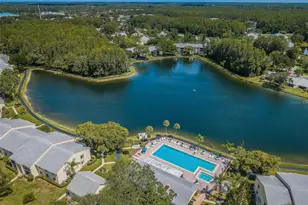 1333 Shady Pine Way, Tarpon Springs, FL 34688 - Photo 27