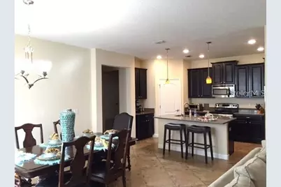 19335 Paddock View Drive, Tampa, FL 33647 - Photo 7