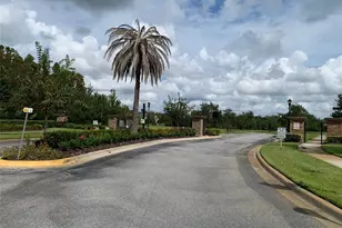 19335 Paddock View Dr, Tampa, FL 33647 - Photo 31