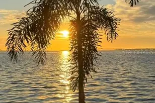 4950 Bayshore Blvd, Tampa, FL 33611 - Photo 43
