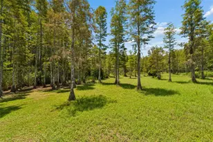 2154 Ground Squirrel Dr, New Port Richey, FL 34655 - Photo 3