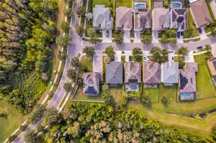 19303 Water Maple Dr, Tampa, FL 33647 - Photo 79