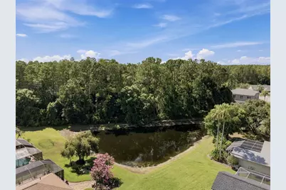 13108 Royal George Ave, Odessa, FL 33556 - Photo 51