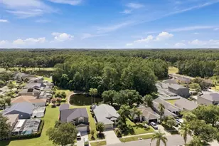 13108 Royal George Ave, Odessa, FL 33556 - Photo 5