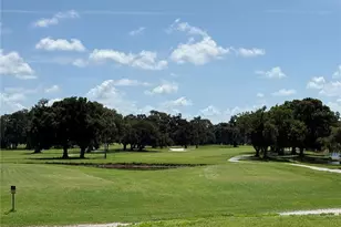 13108 Royal George Ave, Odessa, FL 33556 - Photo 59
