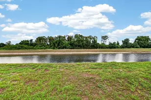 14415 Barley Field Dr, Wimauma, FL 33598 - Photo 41
