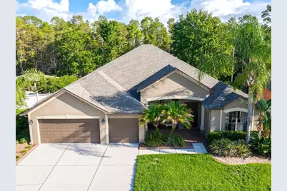 14815 Ninebark Court, Land O Lakes, FL 34638 - Photo 7