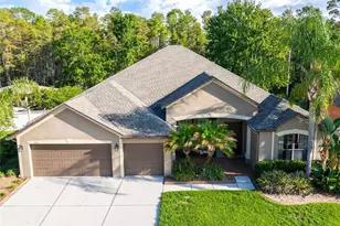 14815 Ninebark Ct, Land O Lakes, FL 34638 - Photo 7