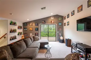 14815 Ninebark Ct, Land O Lakes, FL 34638 - Photo 59