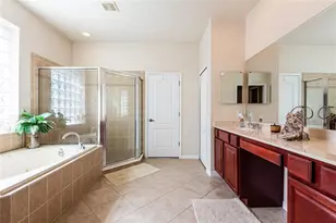 14815 Ninebark Ct, Land O Lakes, FL 34638 - Photo 49