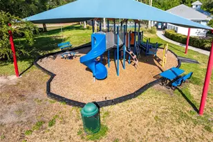 14815 Ninebark Ct, Land O Lakes, FL 34638 - Photo 71