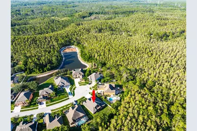 14815 Ninebark Court, Land O Lakes, FL 34638 - Photo 69
