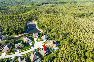 14815 Ninebark Ct, Land O Lakes, FL 34638 - Photo 69