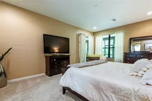 14815 Ninebark Ct, Land O Lakes, FL 34638 - Photo 47