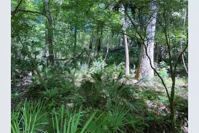 3202 NW 14th Street, Gainesville, FL 32605 - Photo 27