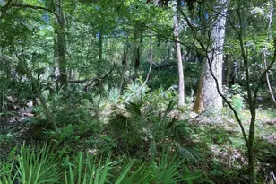 3202 NW 14th St, Gainesville, FL 32605 - Photo 27