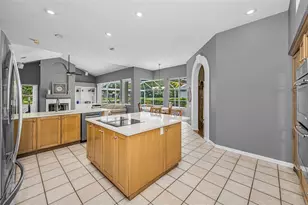 4084 Ligustrum Dr, Palm Harbor, FL 34685 - Photo 55