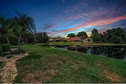4084 Ligustrum Drive, Palm Harbor, FL 34685 - Photo 81