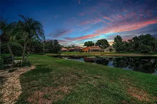 4084 Ligustrum Dr, Palm Harbor, FL 34685 - Photo 81