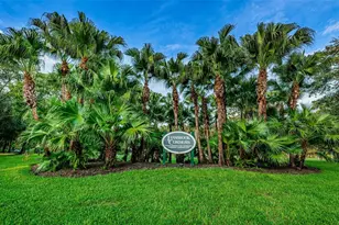 4084 Ligustrum Dr, Palm Harbor, FL 34685 - Photo 85