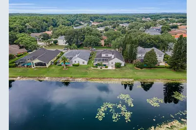 4084 Ligustrum Drive, Palm Harbor, FL 34685 - Photo 77