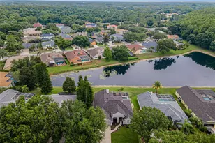 4084 Ligustrum Dr, Palm Harbor, FL 34685 - Photo 79