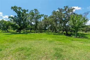 88 Culbreath Rd, Brooksville, FL 34602 - Photo 27