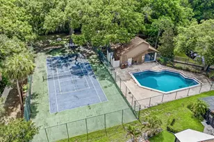 2009 Philippe Ct, Safety Harbor, FL 34695 - Photo 43