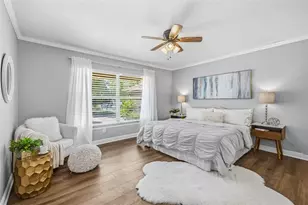 2009 Philippe Ct, Safety Harbor, FL 34695 - Photo 15