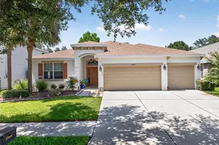 15601 Starling Water Dr, Lithia, FL 33547 - Photo 1