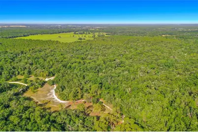 33099 Coral Rock Drive, Webster, FL 33597 - Photo 5
