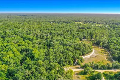 33099 Coral Rock Drive, Webster, FL 33597 - Photo 15