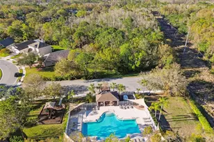 353 Bay Arbor, Oldsmar, FL 34677 - Photo 27