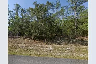 608 E Bimini Drive, Dunnellon, FL 34434 - Photo 1