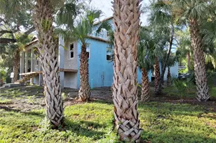 383 Georgia Ave, Crystal Beach, FL 34681 - Photo 3