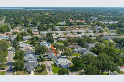 3251 Latana Drive, Palm Harbor, FL 34684 - Photo 19