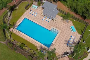 3251 Latana Dr, Palm Harbor, FL 34684 - Photo 25