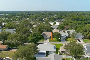 3251 Latana Dr, Palm Harbor, FL 34684 - Photo 23