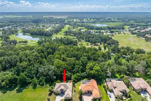 13152 Tradition Dr, Dade City, FL 33525 - Photo 3