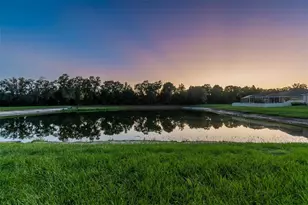 9615 Regiment Ct, Land O Lakes, FL 34638 - Photo 63