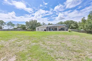 10234 Bloomfield Hills Dr, Seffner, FL 33584 - Photo 3