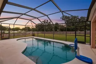 10234 Bloomfield Hills Dr, Seffner, FL 33584 - Photo 47