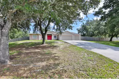 10234 Bloomfield Hills Drive, Seffner, FL 33584 - Photo 1