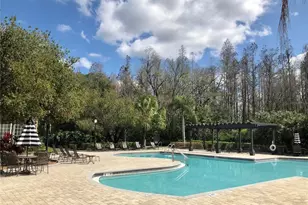 8541 Brushleaf Way, Tampa, FL 33647 - Photo 35