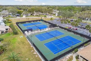 3537 Birkdale Ln, Palm Harbor, FL 34684 - Photo 43