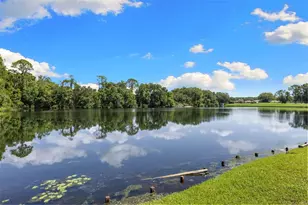 4201 Waterscape Dr, Palm Harbor, FL 34685 - Photo 39