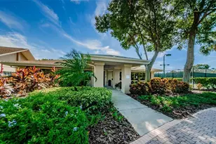 3215 McMath Dr, Palm Harbor, FL 34684 - Photo 57