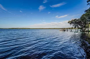 3215 McMath Dr, Palm Harbor, FL 34684 - Photo 67