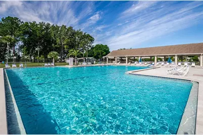 3215 McMath Drive, Palm Harbor, FL 34684 - Photo 47