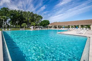 3215 McMath Dr, Palm Harbor, FL 34684 - Photo 47
